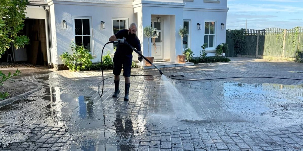 Black spot lichen removal