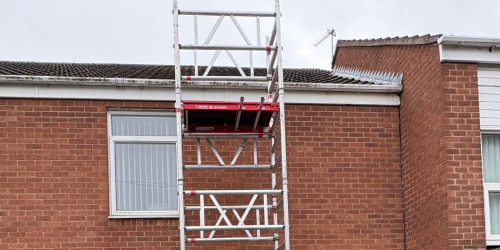 Manual moss removal Nottingham