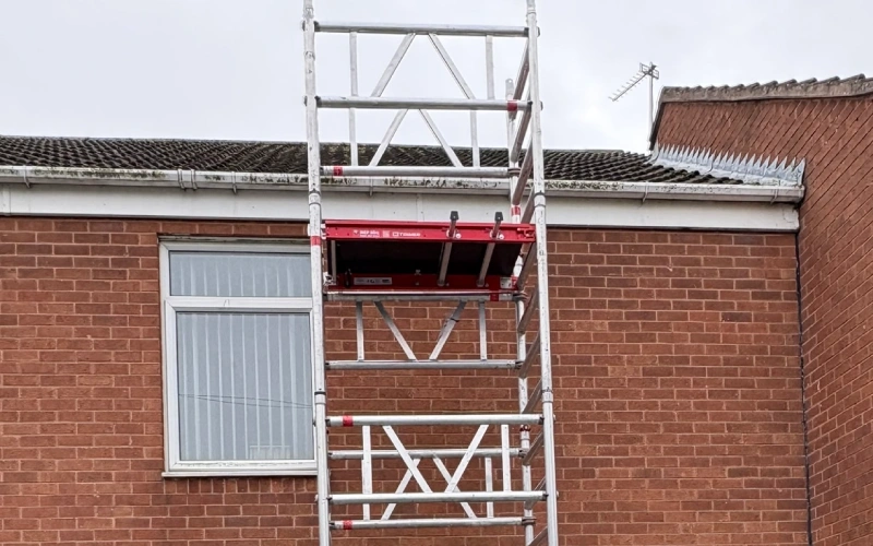 Professional roof cleaning — moss removal with low-pressure treatment